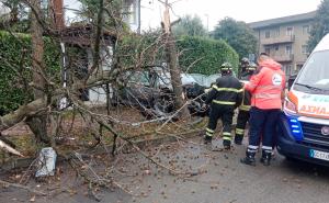Vigevano, si schianta con l’auto contro un albero