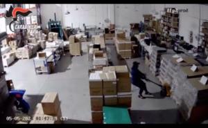 Banda specializzata in furti e rapine di cosmetici di lusso: nove arresti