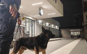 Sicurezza sul territorio: servizi delle forze dell'ordine a Vigevano e Pavia