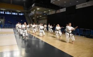 Vigevano, arti marziali protagoniste al palaElachem con lo "Stage di Cuore"