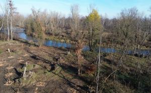 Boschi devastati? Il Parco adesso minaccia querele