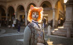 Il &ldquo;Concerto in miao&rdquo; celebra i gatti