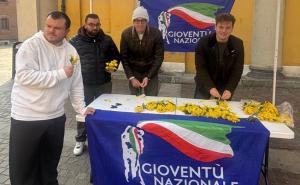 Arrivano i ragazzi di Giovent&ugrave; nazionale. Il candidato a Mortara? Cristina Maldifassi