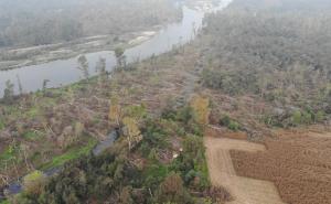 Legname "scomparso&rdquo; e disboscamenti: la civica di Righi presenta un esposto