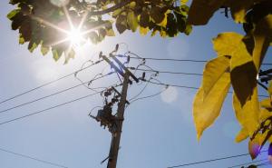 Smontano una linea elettrica in campagna per rubare il rame tra Valle e Candia