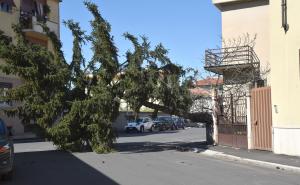 Lomellina: vento forte, alberi e tegole cadute. A Vigevano chiusi parchi e cimiteri in via precauzionale