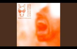 Il grunge dei Floating Horse Head