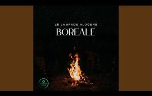 "Boreale": musica d'autore di trentenni introversi