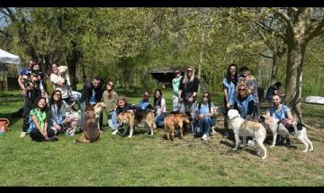 "Adotta un amico!": incontro con i cani in cerca di famiglia al Parco dei Tre Laghi
