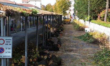 Terminato il "massacro" dei tigli al mercato coperto: le immagini