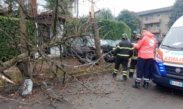 Vigevano, si schianta con l&rsquo;auto contro un albero