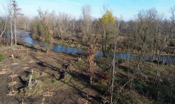 Boschi devastati? Il Parco adesso minaccia querele