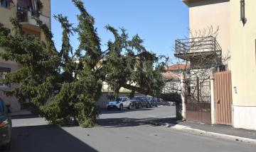 Lomellina: vento forte, alberi e tegole cadute. A Vigevano chiusi parchi e cimiteri in via precauzionale